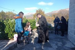 IMG-a04864ad235d88ed089b2d9a064e8b73-V-Custom