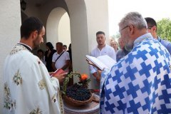 IMG_6419