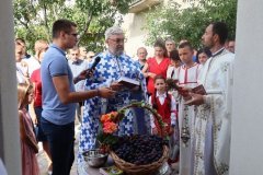 IMG_6422-1