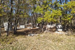 IMG_20211121_120849-Custom