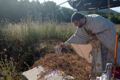 IMG-5bbc5eabde7ea40ebf5bb36a56281caf-V-Medium