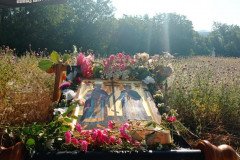 IMG-f1897891ade155d6e15e028a29000878-V-Medium