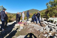 IMG-27b55378ff021ebd0055ab25fd32cdc1-V-Medium