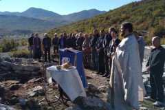 IMG-5007ffc849356ed9054fd71f14667ec1-V-Medium