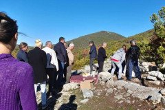 IMG-8dcdfe578279f11909e1be904443a459-V-Medium