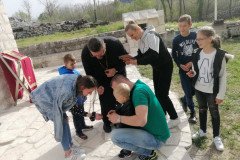 IMG-3ad2e1f25fadb478c7575d07f602c9de-V-Medium