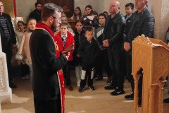 IMG_20230303_184529-Medium