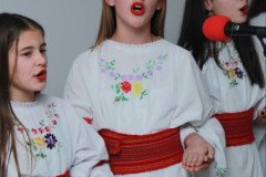 IMG-dd54b9bfc4a11bed181a0e47e3af1e08-V-Medium