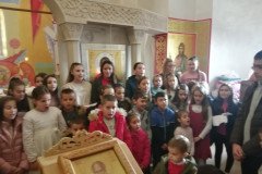 IMG-7d3c65b6b8ecb5cb60843a5926a692b7-V-Medium