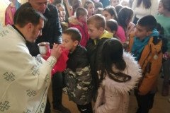 IMG-986b3ce21cb73f4d3c1e632823bb528b-V-Medium