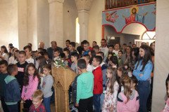 IMG-ca8a3f7b929ad5814550d27dd2f6929a-V-Medium