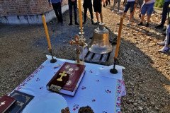IMG_20220813_081638-Medium