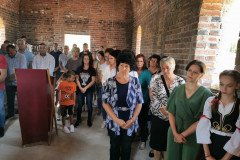 IMG_20220813_092808-Medium