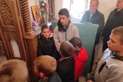IMG_20220417_093313-Medium