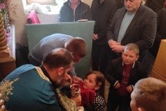 IMG_20220417_094956-Medium