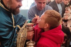 IMG_20220417_095002-Medium
