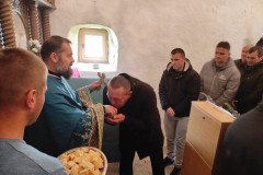 IMG_20220417_100131-Medium