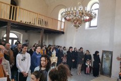 IMG_20230305_091459-Medium