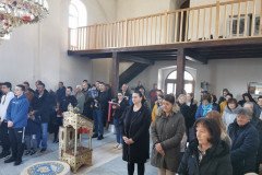 IMG_20230305_091522-Medium