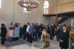 IMG_20230305_091526-Medium