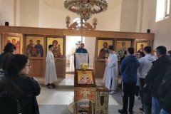 IMG_20230305_091744-Medium