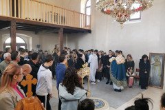 IMG_20230305_093136-Medium