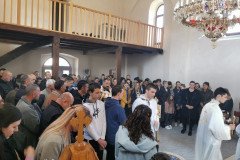 IMG_20230305_093147-Medium
