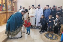 IMG_20230305_100333-Medium