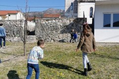 IMG_20230305_102846-Medium