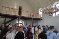 IMG_20230409_091627-Medium