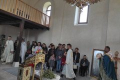 IMG_20230409_093154-Medium