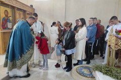 IMG_20230409_095358-Medium