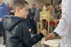 IMG_20230409_100126k-Medium