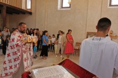IMG_20220911_092904-Medium