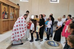 IMG_20220911_095107-Medium