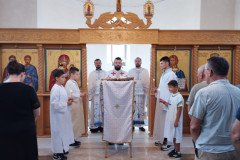 IMG_20220828_092045-Medium