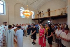 IMG_20220828_092114-Medium