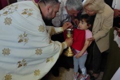 IMG_20220512_095025-Medium