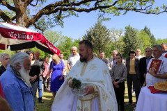IMG_20220512_100334-Medium