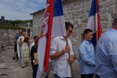 IMG-923bde810e971c6d16413983aef00358-V-Medium