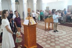 IMG-0d8cea1d17067d79b543cd46f73b3731-V-Medium