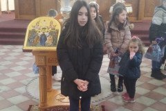 IMG-c1b8b21cc482ab229869630dbdb25cc0-V-Custom