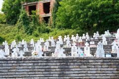 img-7928071