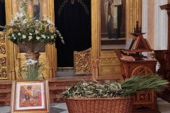 IMG_20220417_083808-Medium