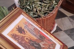 IMG_20220417_083825-Medium