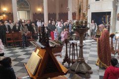 IMG_20220417_100905-Medium