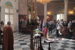 IMG_20220417_100933-Medium