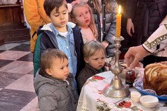 IMG-d12097e984d4a2ba08c39d0f645fb5ed-V-Medium