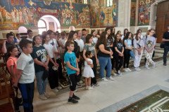 IMG-8e37eaae8c8eab6a787ec738e098cee1-V-Medium