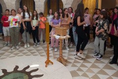 IMG-f79cfa41540042cfce8e73a2fdad7d85-V-Medium